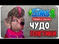 ЧУДО ГЕНЕТИКИ, СЛИШКОМ СМЕШНЫЕ СОБАКЕНЫ - The Sims 4 "Кошки и Собаки"