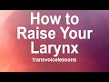 The Art of Voice Feminization | Part 2A: Larynx Basics, How to Raise the Larynx, and Common Issues