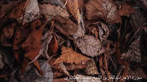 سورة الاحزاب للقارئ الشيخ محمد الطبلاوى