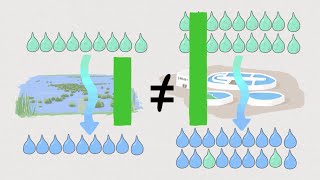 Valuation of Ecosystem Services: Replacement Cost Method