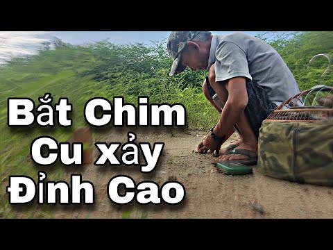 Video Út Diềm chia sẻ , biểu diễn bắt mồi xảy cực đỉnh - youtube
