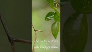Connect with Allah Before You Sleep — #IslamicTranquility #SleepPeace