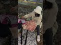 若浪漫的代價是殺死玫瑰 就用我的靈魂獻祭吧 攝影 情緒 攝影花絮 氛圍感 若浪漫的代價是殺死玫瑰 就用我的靈魂獻祭吧 攝影 情緒 攝影花絮 氛圍感