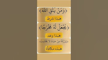 #راحة_نفسية #تلاوة_هادئة #قرآن #قران_كريم #قران #اكسبلور #elmulquranعلم #لايك #تيك_توك #دويتو
