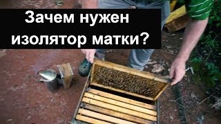 Пасека #51 Зачем нужен изолятор матки ? Ограничения матки в яйцекладке Пасека.Пчеловодство