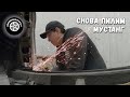 ПРОБЛЕМА с Мустангом. Опять по-новой.