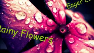 Eager E.M.P - Rainy Flowers  ( Progressive Breaks Mix )