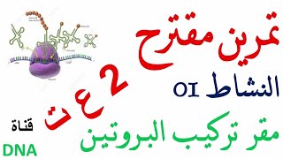 تمرين حول تركيب البروتين للسنة الثانية ثانوي