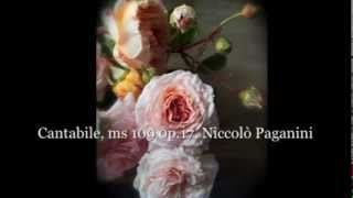 Cantabile, ms 109 op.17, Niccolò Paganini