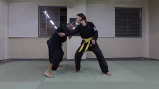 Ninjutsu knife techniques (Tanto jutsu)