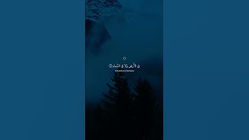 راحه نفسيه للقلب_🤍_#القرآن #quran #بصوت #القارئ #عبدالرحمن_مسعد #القرآن_الكريم #راحة_نفسية #راحة 🤍🎧🤍