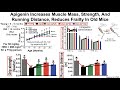 Apigenin Increases Muscle Mass And Improves Muscle Function In Both Young And Old Mice