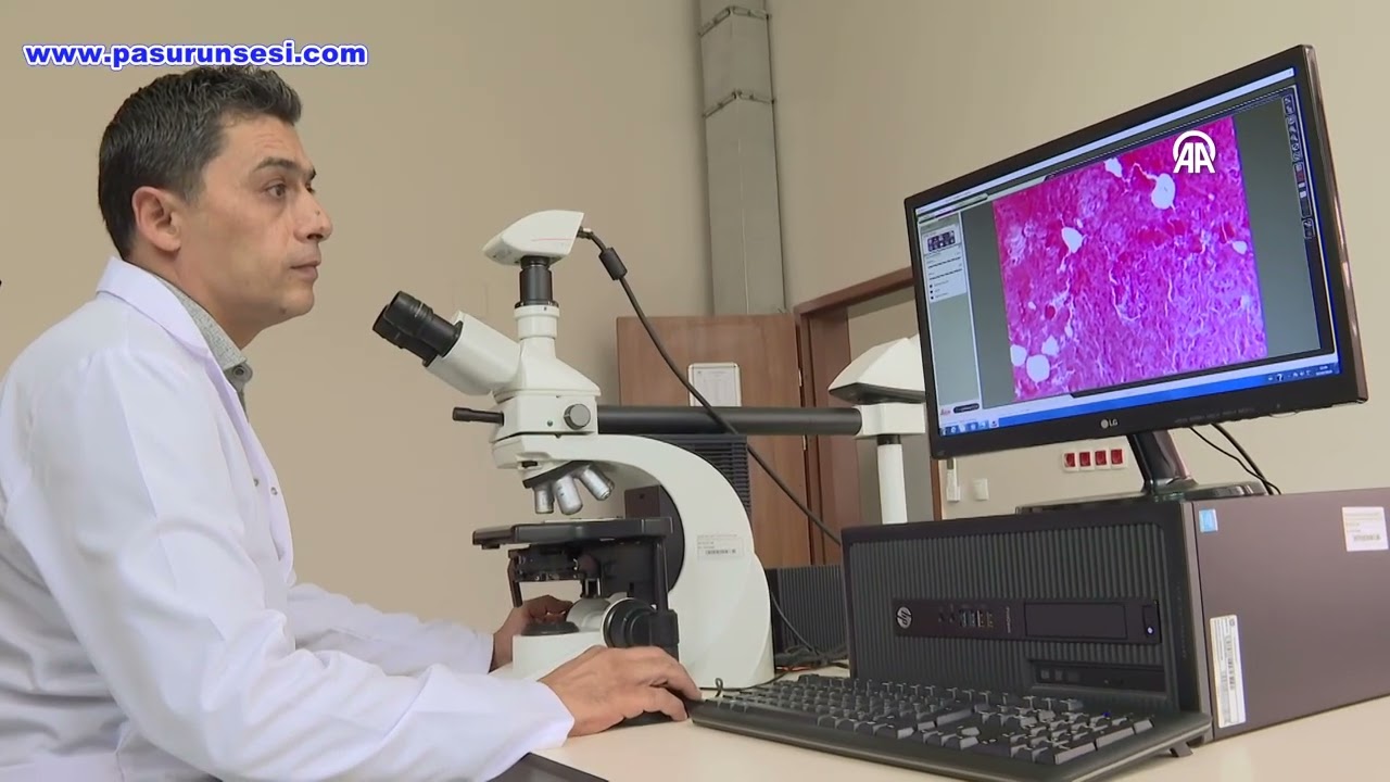 Gıda analizlerinde 1000'de 1’lik kusurlar bile tespit ediliyor