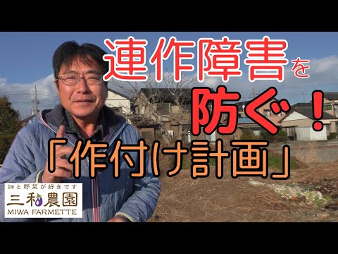 総合　野菜・畑作技術事典　Ⅳ 総合 野菜・畑作技術事典 Ⅳ 実践 野菜栽培 葉菜・茎菜・豆類