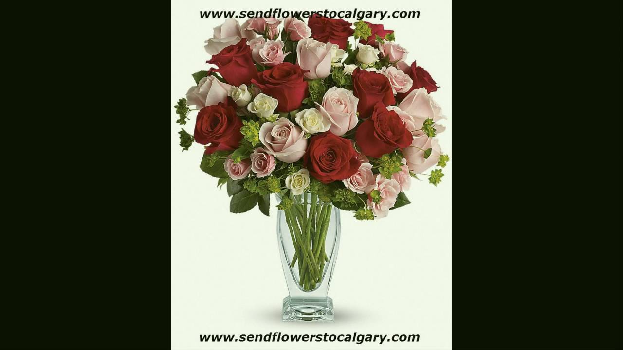 Send flowers from Denmark to Calgary Alberta Canada