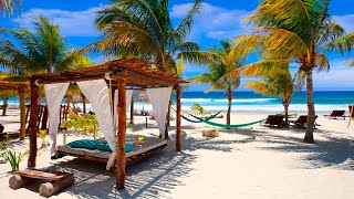 Tropical Seaside Cafe Ambience with Smooth Bossa Nova Intrumental Music \& Ocean Waves for Relax