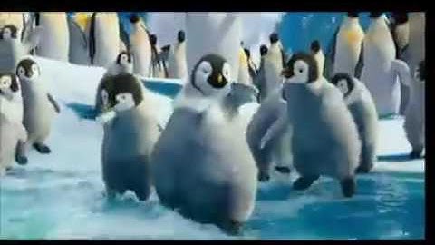 assignment8: funny video