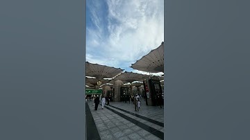 ايات من القرآن الكريم #اكسبلور #الجزائر #دويتو #الرحمن #لايك #ترند #duet #المصحف