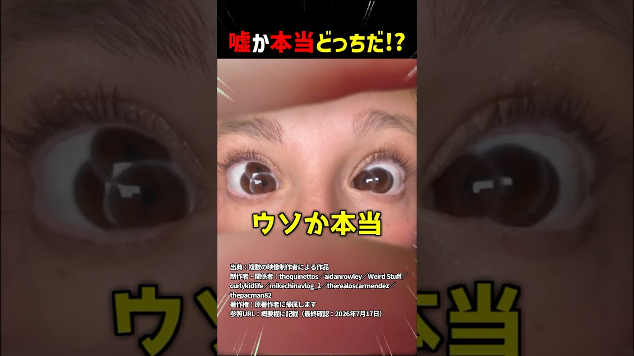 嘘か本当どっちだ！？part27 #shorts #クイズ