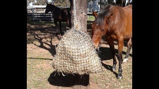 How to fill 2 Medium GutzBusta Slow Feed Hay Nets in less than a minute! screenshot 1