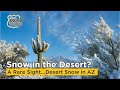 Desert Snow in Arizona - It's rare to see snow in the Desert