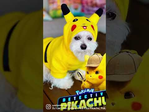 Mi perrita y mi gato con disfraz de Pikachu