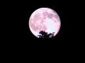 The Moon Apple Devices HD Best Quality 