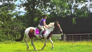 Murphy jumping :)