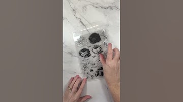 How to organise stamps and dies EASILY! | Craft Room Organisation