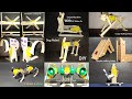 10 multiple video-Walking Robot DC Gear Motor | Diy Experiment Gear Projects with Mr Ahmad is live!