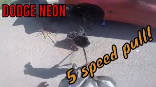 Pulling a 5 speed for Rustina!!!