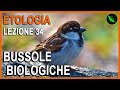 BUSSOLE BIOLOGICHE ANIMALI -Etologia Lezione 34