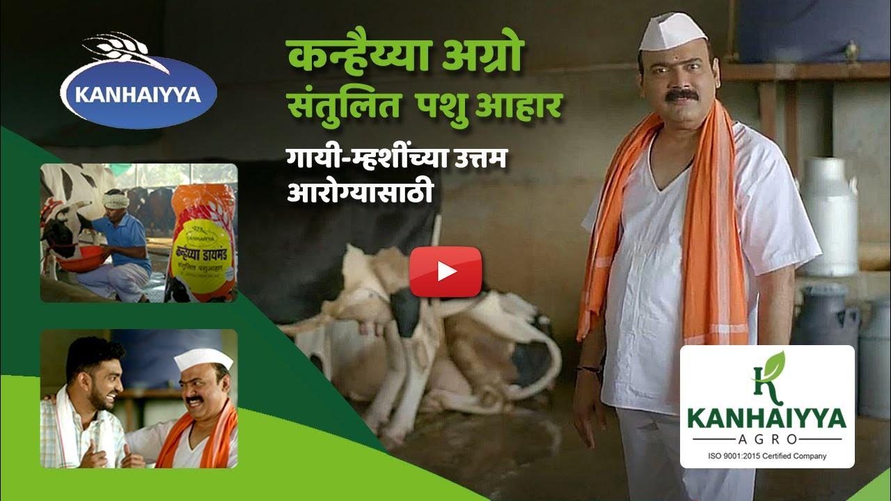 Kanhaiyya Agro Best Cattle Feed Products YouTube