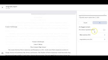 Grading in Google Assignments Canvas