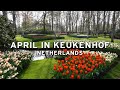 APRIL IN KEUKENHOF - NETHERLANDS  (4K)