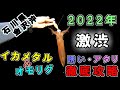 【イカメタル＆オモリグ】2022年激渋石川県！アカイカが大好きな誘いはこれだ！#イカメタル #ウキウキトップ #オモリグ