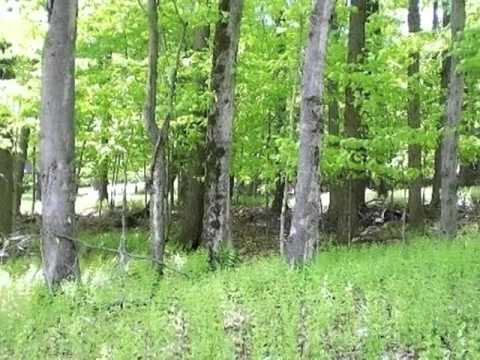 115 Fawn Rd, Pocono Lake, PA home video tour