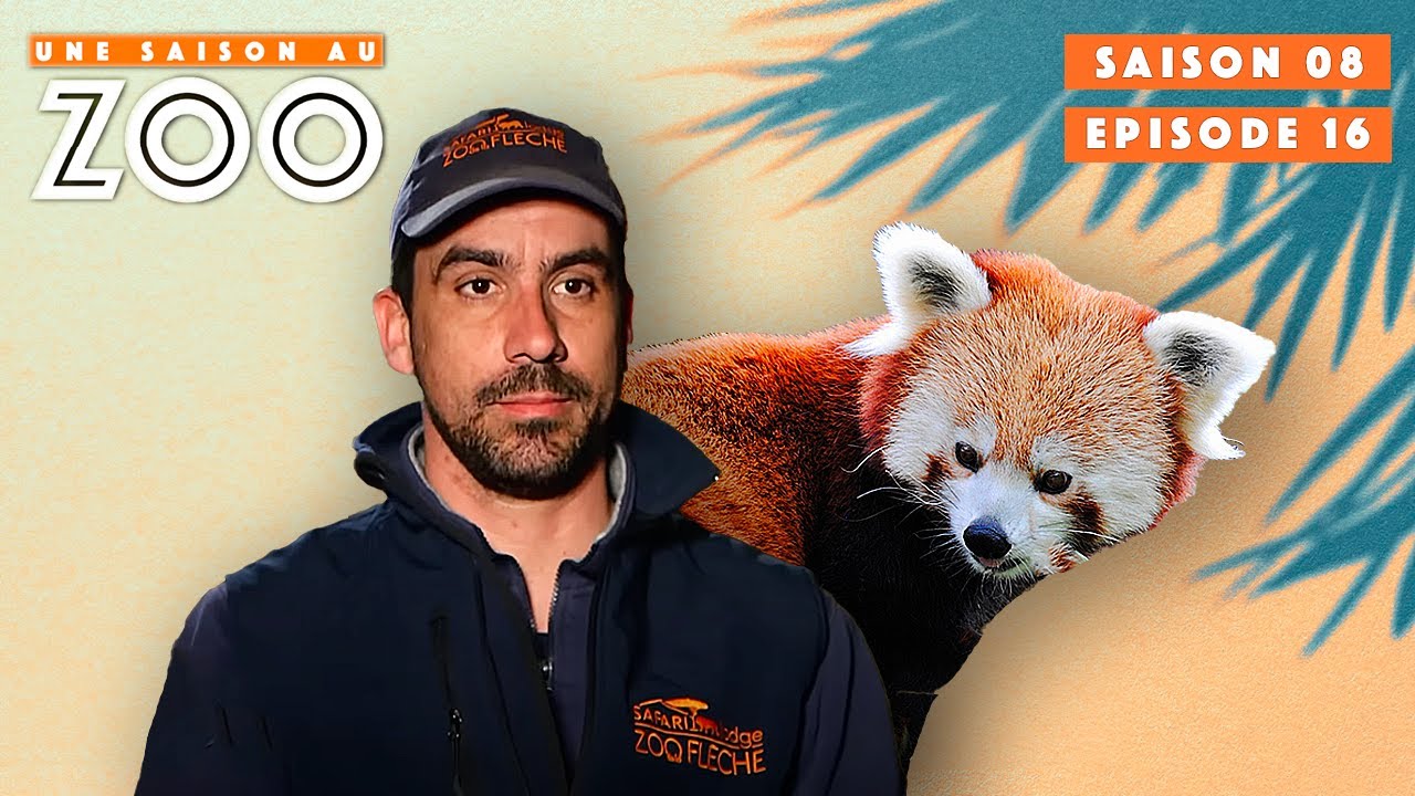 Le Zoo se Prépare au Début de la Saison Estivale! | S08EP16 | Émission