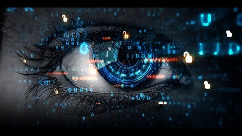 Bachelor in Artificial Intelligence, Data and Management Sciences