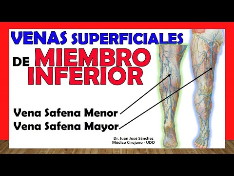 Video: ¿Cuántas perforantes en miembro inferior?