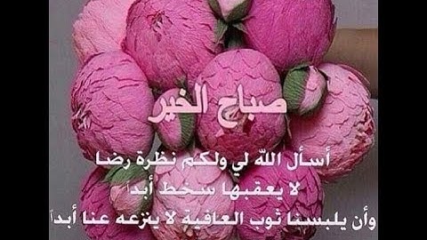 Sourat attahrim سورة التحريم بصوت القارئ سعد ازويت