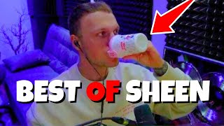 BEST OF VIKTOR SHEEN 2023 | NEJLEPŠÍ MOMENTY VIKTORA SHEENA Z TWITCHE | CZ/SK TWITCH