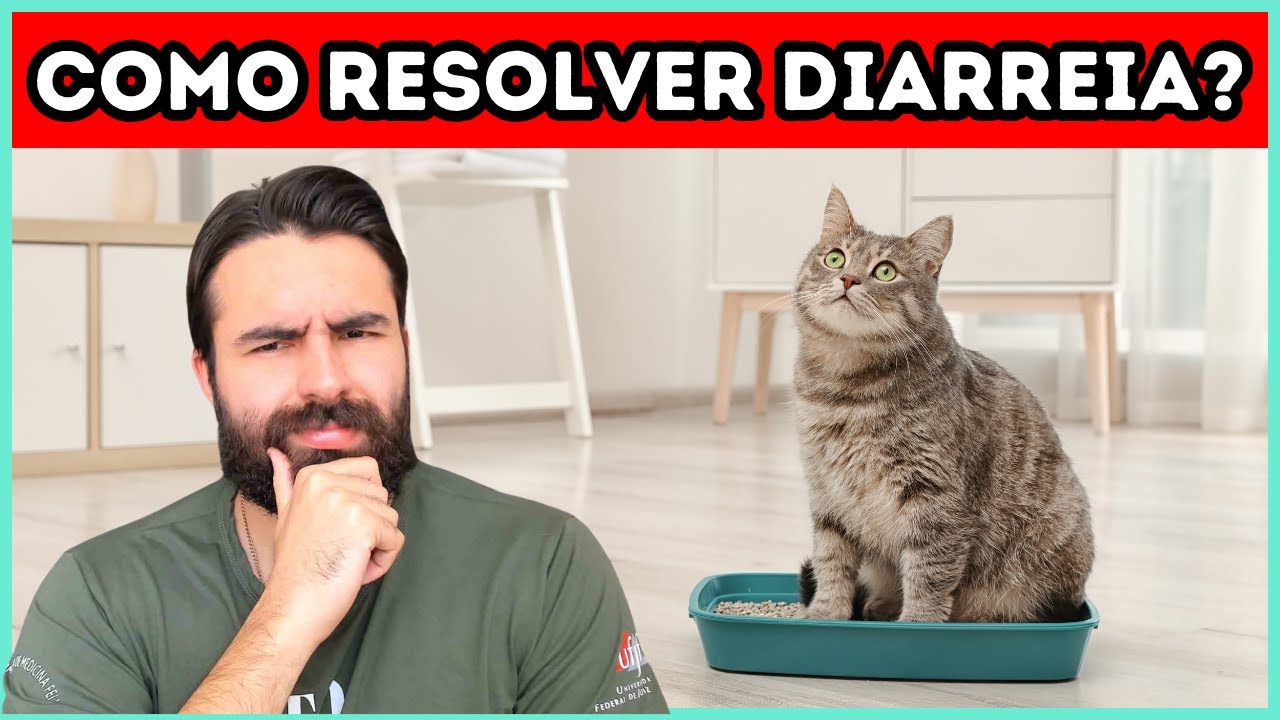 Meu gato está com diarreia, o que fazer? - YouTube