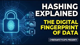 What is Hashing The Digital Fingerprint Explained ,Understanding Hash Values: MD5, SHA1 & SHA256
