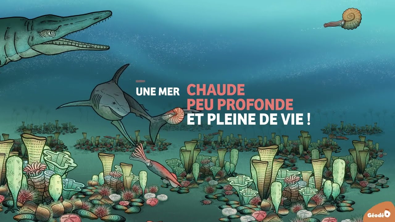 GéodéO : La formation de la craie / Fr.