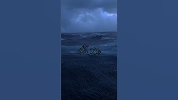 محمد صديق المنشاوي || سورة القصص اروع ما يكون 🤍