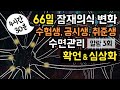 😴🎯 중요한 시험이나 면접을 앞둔 사람들을 위한 66일 잠재의식 변화 & 4시간반 수면관리 가이드, 이미지트레이닝과 긍정확언(셀프토크) 기법 [BSM Level 3 - 목표 달성]