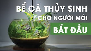 Top 9 Cách Làm Hồ Thủy Sinh Tròn Đặc Sắc Nhất Năm 2022