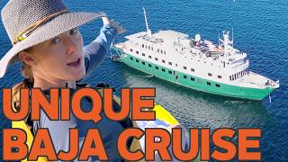 The BEST Way to See Baja: 10-day Off the Grid Baja Cruise [UnCruise Mexico - small ship cruises]