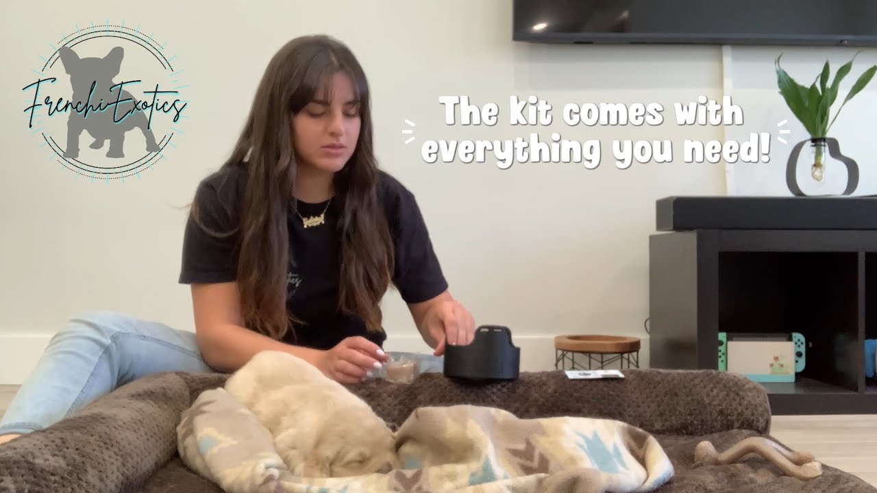 How to Treat Flat Chest in Newborn Puppies 100% Guaranteed & Proven by Vets
